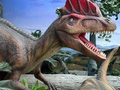 -国家自然博物馆