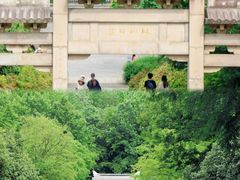 -宜兴龙背山森林公园