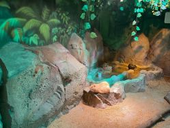 -酷嗒动物文化乐园(cutezoo西溪乐天城店)