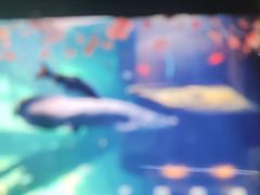 -西安华夏文旅水世界