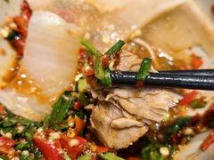 -九寨特色牦牛肉汤锅 羊肉汤锅