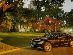 -叶叶菩提·晋福宫