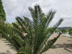 -捞渔河湿地公园