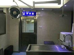 -动物缘宠物医院·骨科·猫科(西二环店)