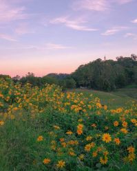 -简影造型·自选烫染接发salon