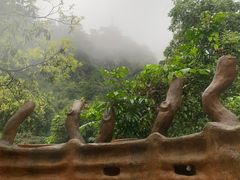 -天门沟九州驿站树上汤泉