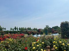 -艾山风景名胜区