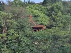 -天生桥景区