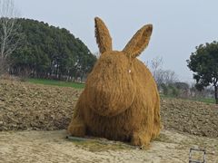 -嘉北郊野公园