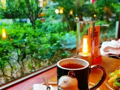 -咖法森林·咖啡  酒吧(天河店)