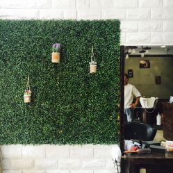 -红人馆造型十添