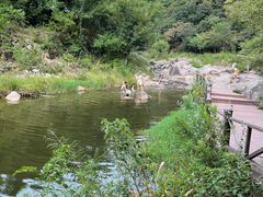 -武汉姚家山旅游景区