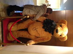 泰迪熊博物馆-济州岛泰迪熊博物馆