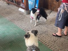 -安吉龙王山峡谷漂流