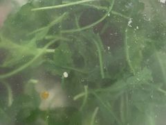 -大鹏饭店·金陵家宴(奥体中心店)