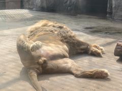 -南昌动物园