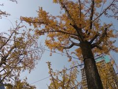 -百林公园-两江幸福广场