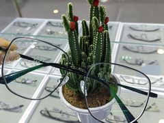 -罗伯特眼镜·蔡司官方授权(罗湖国贸店)