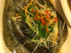 清蒸多宝鱼-阿英煲(凉城路店)