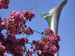 -沈阳植物园