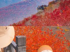 -狼牙山风景区