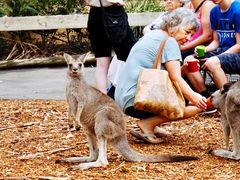 -费瑟代尔野生动物园