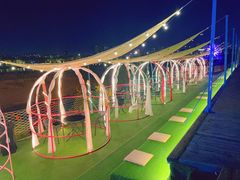 -长白岛森林公园