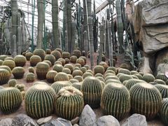 -南山植物园