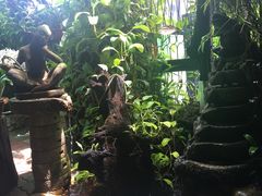 -自然餐厅(Phuket)