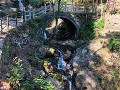 -东天目山风景区