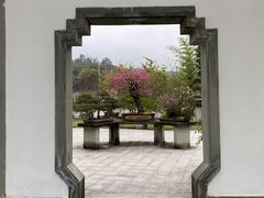 -杭州植物园