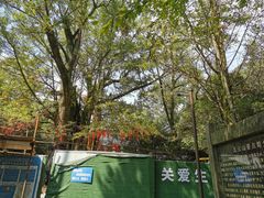 -西湖风景区十里琅珰-五云山