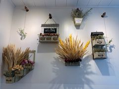 -夏叶茶(大光明店)