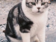 -小时光咖啡馆(开森度假森林店)
