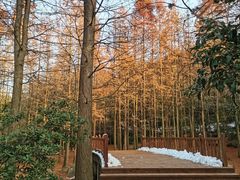 -宝界山林公园