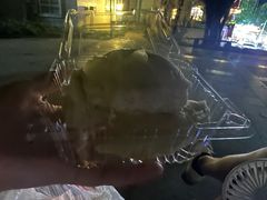 -杨果果(渝北店)