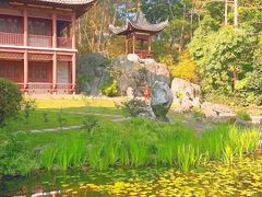 -深圳国际园林花卉博览园