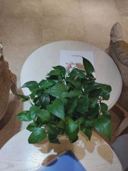 -北京俪婴妇产医院(朝阳大悦城店)