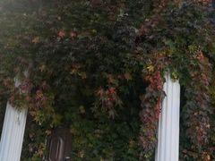 -黑龙江省森林植物园