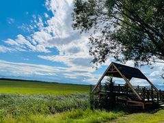 -野鸭湖国家湿地公园