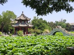 -莲池书院博物馆