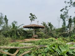 -海南热带野生动植物园