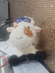 -上海首尔丽格医疗美容医院