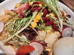 蔬菜沙拉-九田家黑牛烤肉料理(石路天虹店)