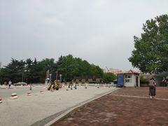 -青岛大学(金家岭校区)