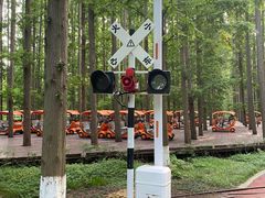 -黄海国家森林公园