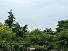 -狼山风景名胜区