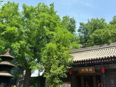 -湘子庙