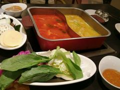 -新辣道鱼火锅(领展购物广场·中关村店)