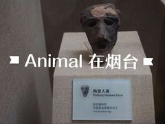 -烟台市博物馆